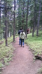 Upper Fireweed Hiking Trail, Vail, Colorado