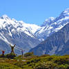 Mt Cook from the Red Tarns.
