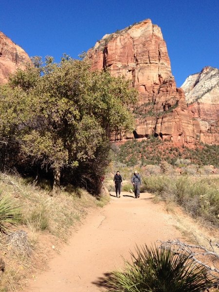Near the beginning of the Angel's Landing trail along the Virgin River. The Landing is right in front of you.