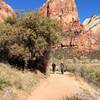 Near the beginning of the Angel's Landing trail along the Virgin River. The Landing is right in front of you.