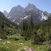 Grand Teton as seen from a meadow on North Fork Cascade Canyon trail.<br>
<br>
Image by the National Park Service (NPS).