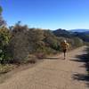 Bald Mountain Trail - not a nice singletrack, but amazing views.