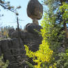 Balanced Rock with permission from Ed Ogle