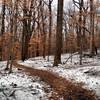 Western Ridge Trail