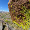 Lichen on granite boulder