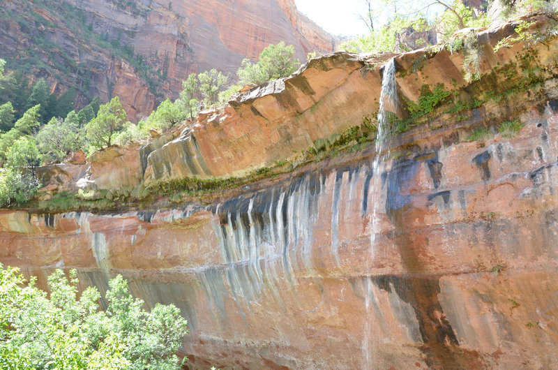 Waterfall, Zion National Park