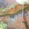 Waterfall, Zion National Park