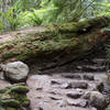 Mt. Si Trail