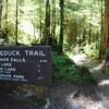 Passing Sol Duc or Soleduck Trail Junction