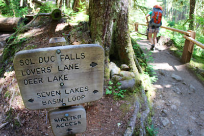 lovers lane loop olympic national park