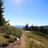 High Divide Trail, almost to the divide.