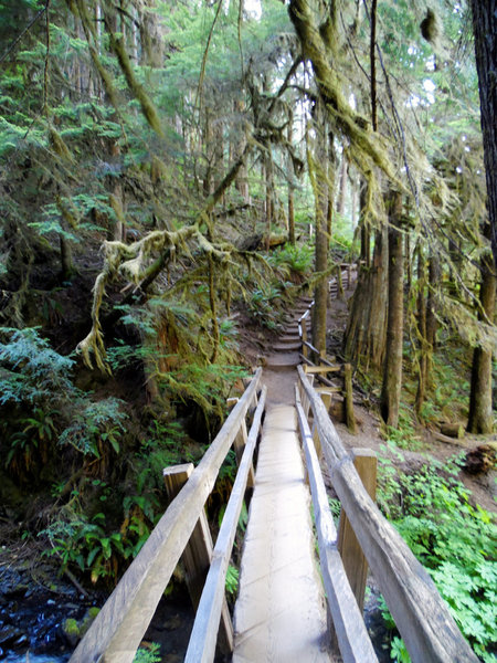 Path to Marymere Falls