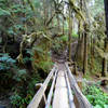 Path to Marymere Falls