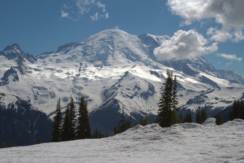 Mt. Rainier from Silver Forest.