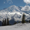 Mt. Rainier from Silver Forest.