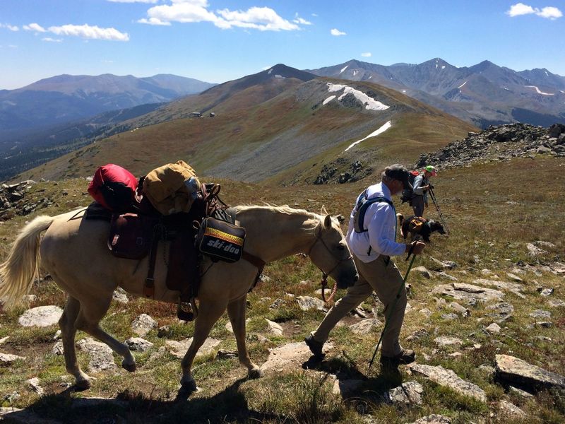 At the top - 12,500'! - you'll probably meet other CO Trail users