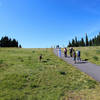Stay on paved trails- Big Meadow Trail