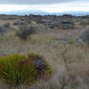 Rocky tors surrounding Sutton Salt Lake