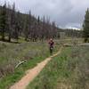 Running that smooth smooth singletrack, such a fun trail to run :)