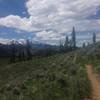 Running amongst the sage, I swear that stuff makes you run faster! Gore Range off in the distance.