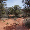 High desert scenery on the Templeton Trail