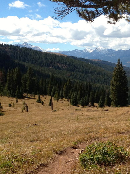 The upper part of the Two Elk trail is gorgeous and really easy.  It gets more difficult as you get closer to Minturn.