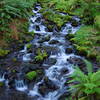 Rushing side stream