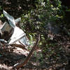 Resolution Trail artifacts