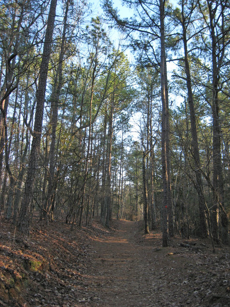 Raven Rock Loop Trail