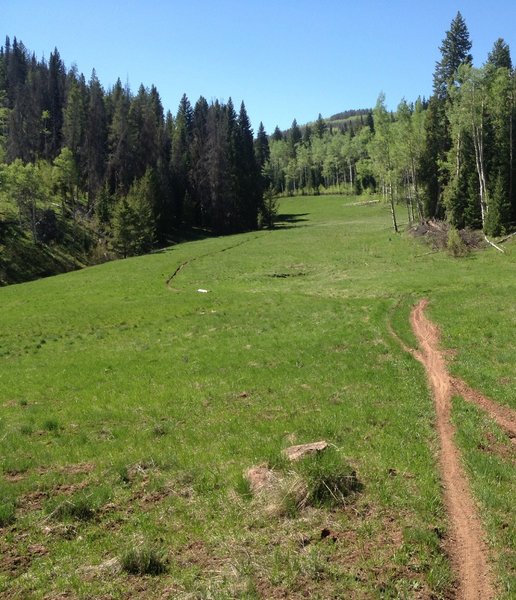Buck Creek Hiking Trail, Avon, Colorado