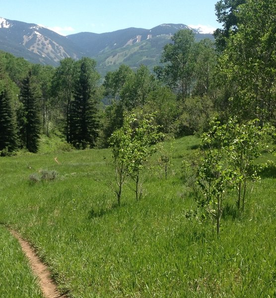 Great meadows and views of Beaver Creek