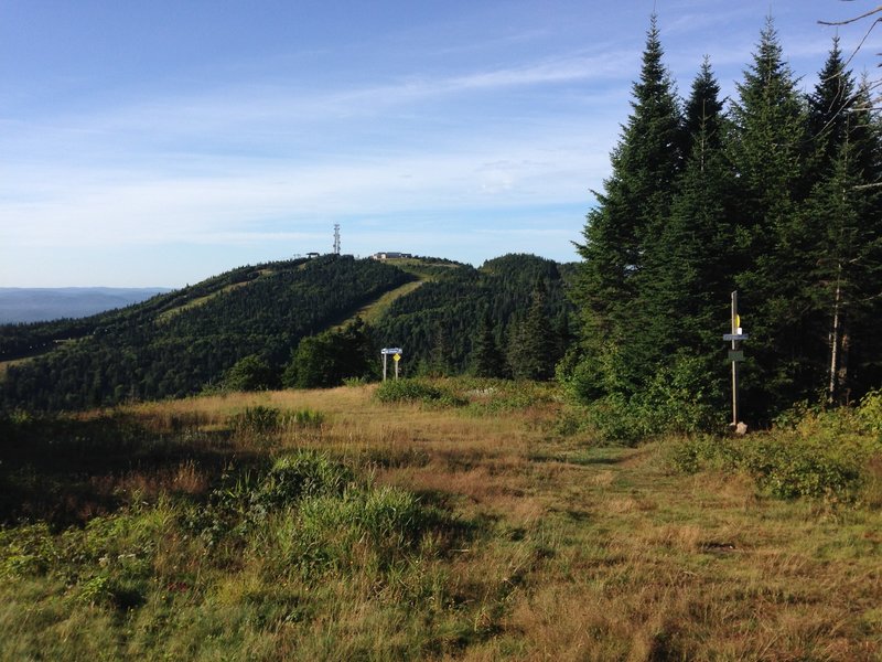 This view from the Sommets Trail looks across a gully to the summit of Mt. Tremblant.  The next section of trail follows a ridge keeping you out of the gully, for the most part.  The trail continues at the right of the image.