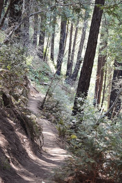 Ewoldsen Trail.