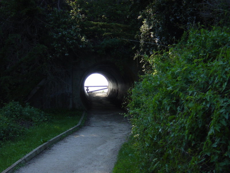 Pedestrian tunnel along McWay Waterfall Overlook Trail