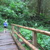 Trail runners crossing one of approximately eight bridges along the Little River Trail.