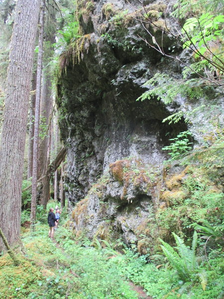 Checking out one of the Little River Trail's many basalt outcroppings, some of which have hidden caves under the ferns and moss.