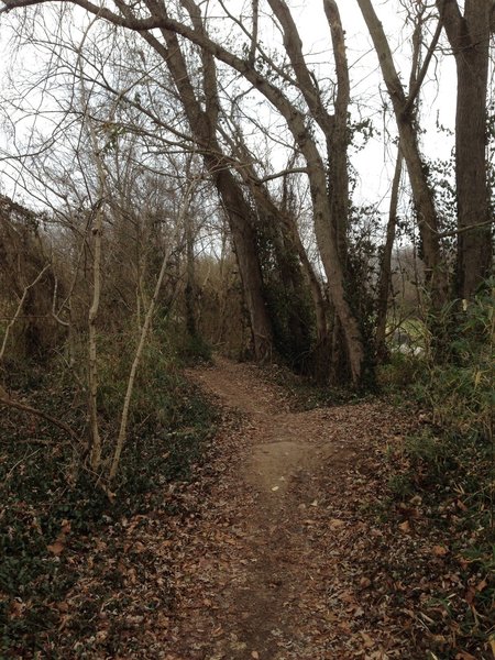 Riverside section of Low Hollow Trail