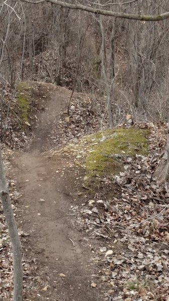 Hilly section of trail
