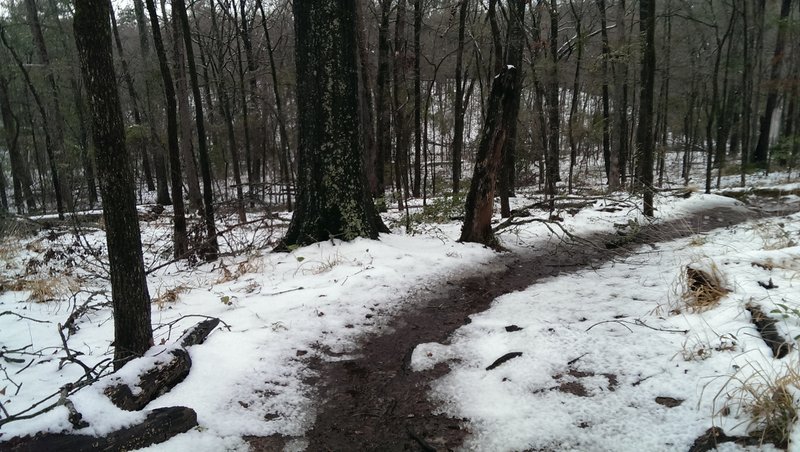 Melting the snow on the Tyler State Park Loops