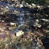 The natural spring at the rear of the property and a fun water crossing. On the Lost River Cave Trails