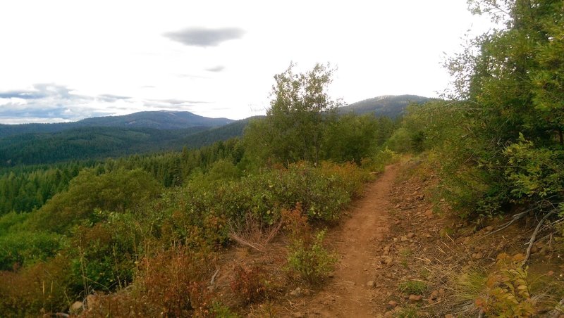 The view from the Grand Traverse Looking towards Brundage.