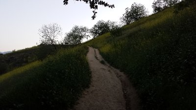 Michael D. Antonovich Trail Hiking Trail, San Dimas, California