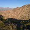 View of the Sierra Estrella from the Bursera Trail
