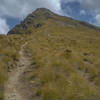 Not the best photo as it's from 2008 but shows the track well.  Ben Lomond Track