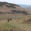Runners in Moyleman 2015 heading further down into Castle Hill Nature Reserve