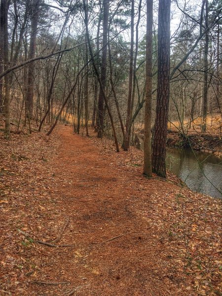 The trail passes along the creek here