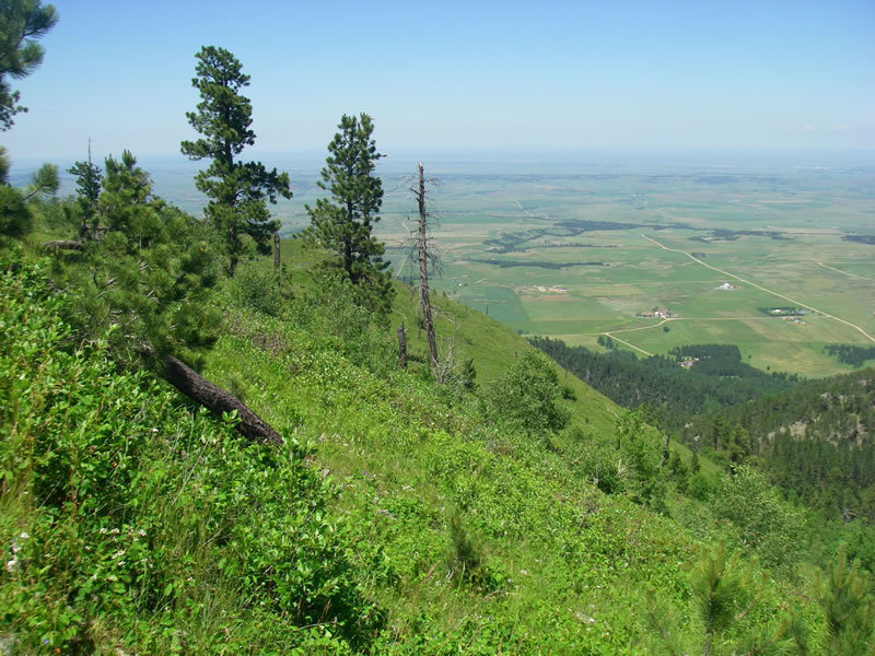 Looking towards the north from the summit of Crow Peak