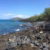 Excellent snorkeling at Ahihi-Kinau Reserve