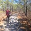 Towards the end of the trail, you get a view that allows you to see the beautiful trees of the Pine Barrens.