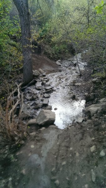 Creek crossing on stones
